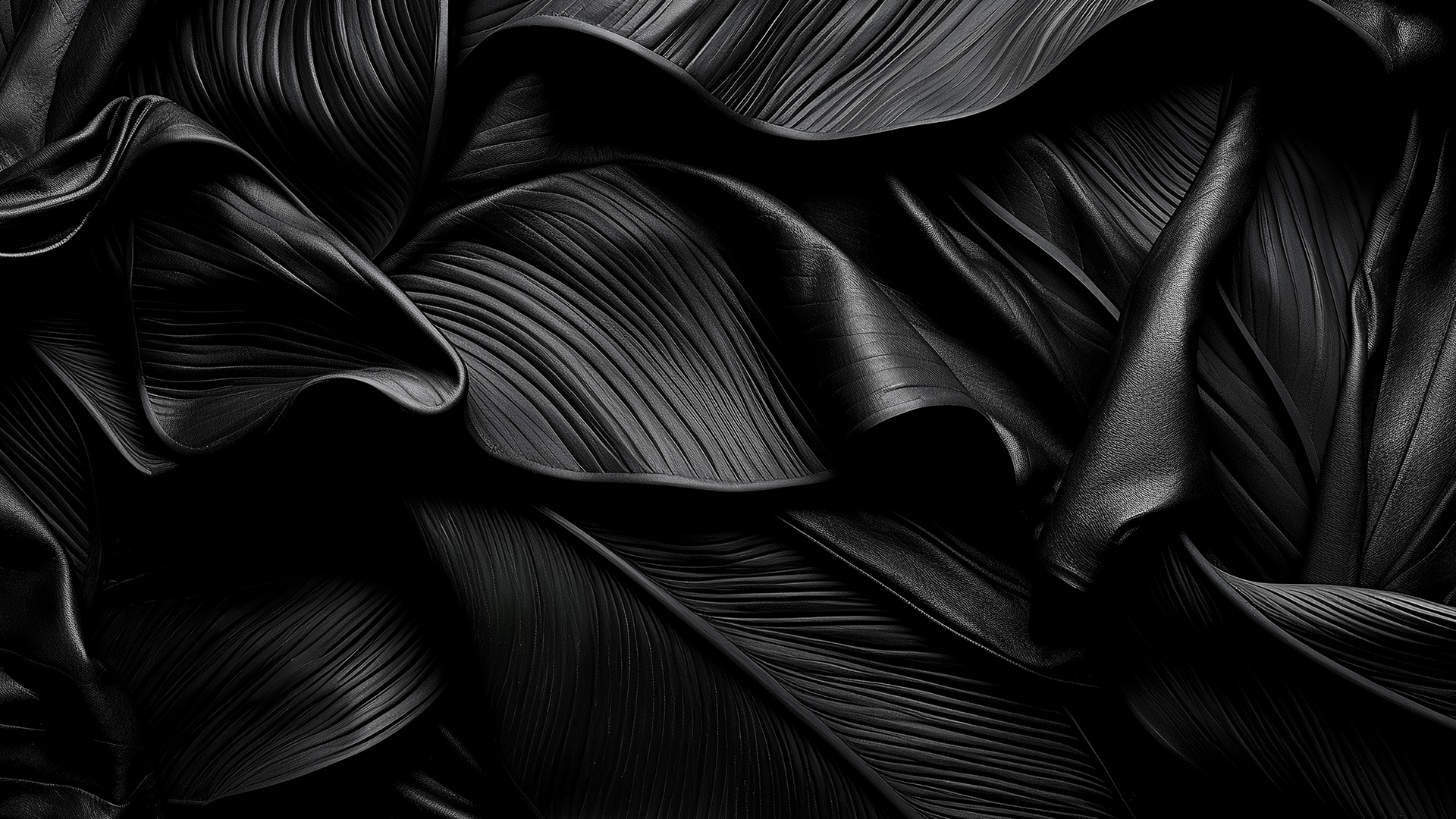 bandeau-ono
